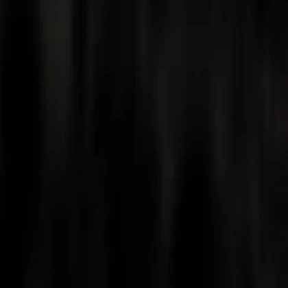 Wawa Cat Top (Oh The Misery Cat)