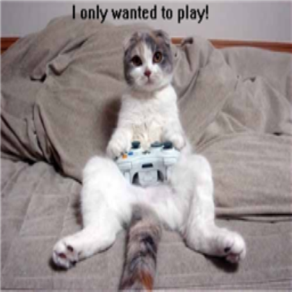 Lol Cat (Funny, Kinda) *-*Fav before take*-*