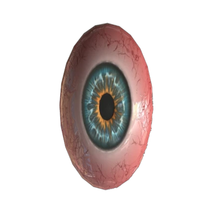 eyeball