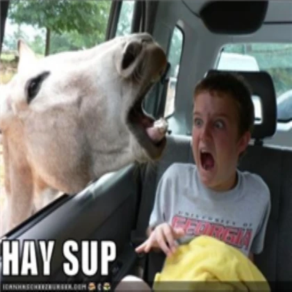 Lol FUnny pic of kid afraid horse