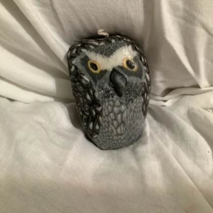 the vibe owl