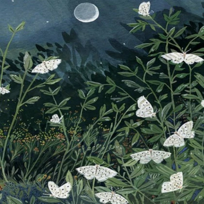 ( Witch ) Moths Moonlight cottagecore grunge ☪