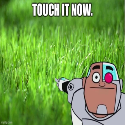 Touch grass