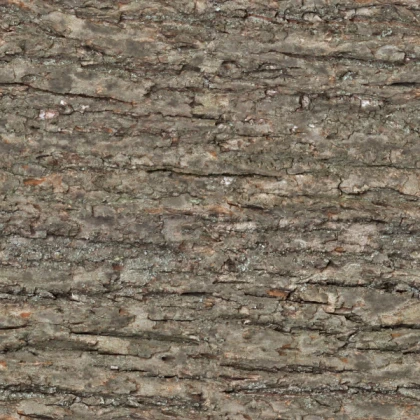 Seamless Bark