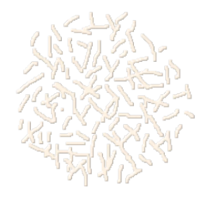 Work at a pizza place uncooked cheese