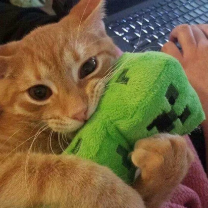 orange cat biting creeper plushie