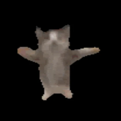 low quality standing cat