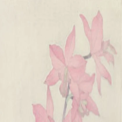 japanese art - pale pink orchids p1