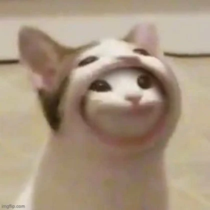 Pop cat eat small pop