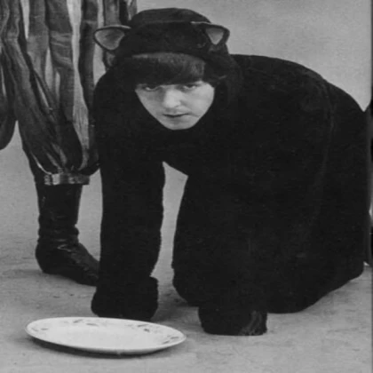 Paul McCartney in a cat costume - Beatles