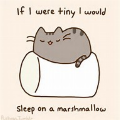 If I were tiny Pusheen the cat