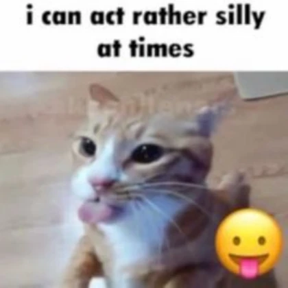 alittle silly meme