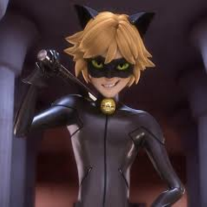 cat noir