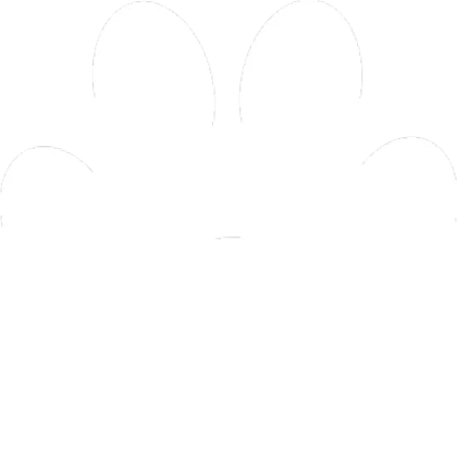 White Paw Print