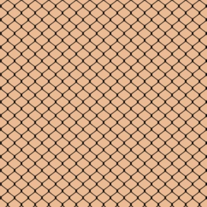 Skin Color with Fishnet v2