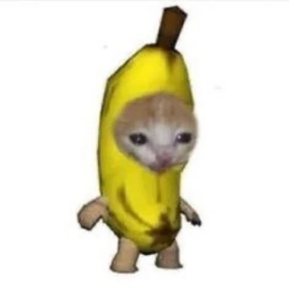 banana cat
