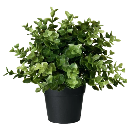 potted plant png