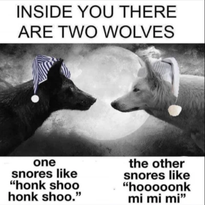 two wolves