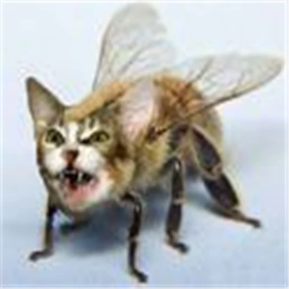 scary cat-bee