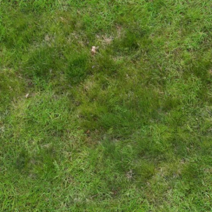 Realistic Grass Texture