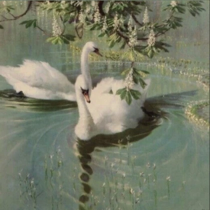 swans pond sage green aesthetic cottagecore