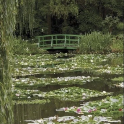 pond bridge sage green aesthetic cottagecore