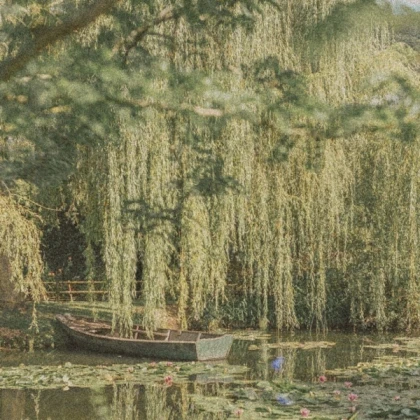 boat aesthetic cottagecore green pond lake sage