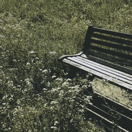 bench cottagecore sage aesthetic green cute