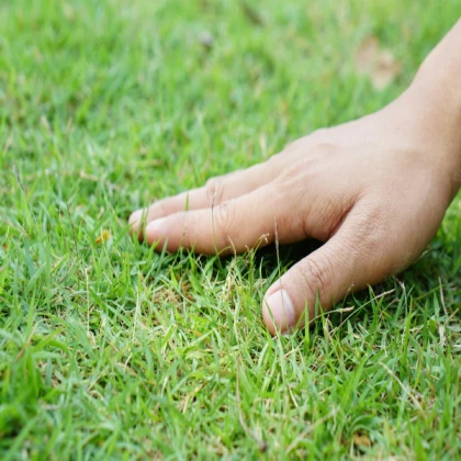 You Finally Touched Grass!!! Congrats!