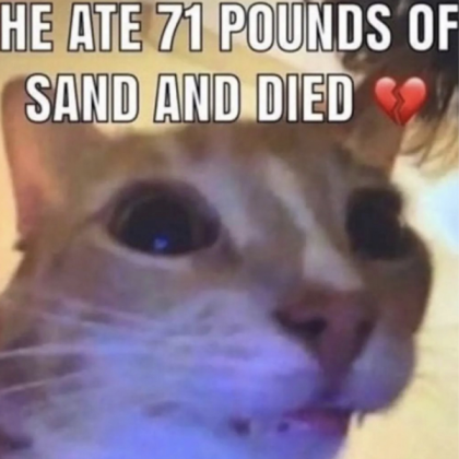 He ate too much sand and died 💔