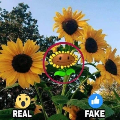 real or fake sunflower? | pvz meme
