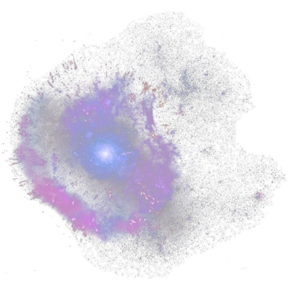 Large Magellanic Cloud / Poly