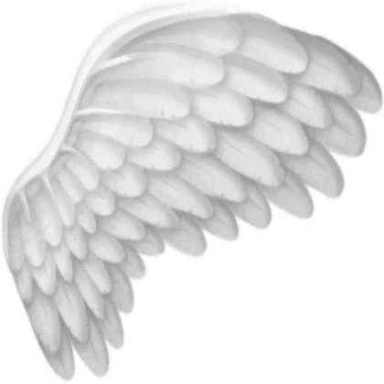 White Wings (Valkyrie Wings)