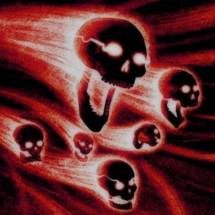 skull decal roblox blox fruits