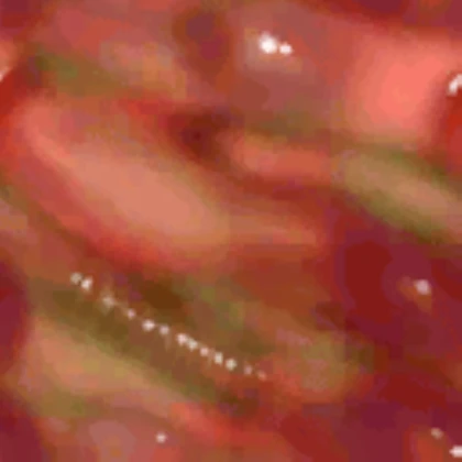 Cruelty Squad Meat Texture