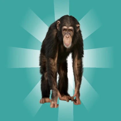 its just a monkey dont ban me roblox