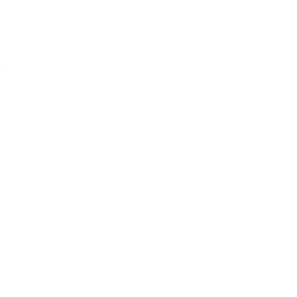 palm tree