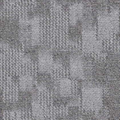 Light Gray Carpet