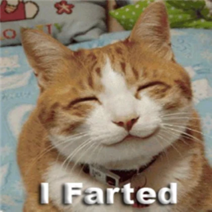 funny cat farted *PLZ COMMENT!*