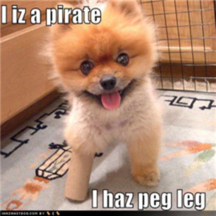 i has teh peg leg