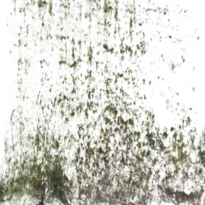Green Moss Wall Dirt