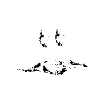 White Pixelated Scary Face