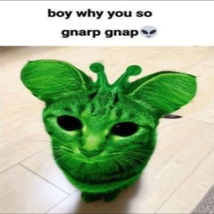 boy why you so gnarp