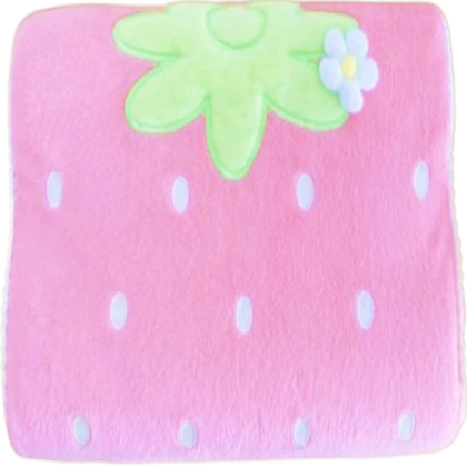 ♡ strawberry mat / pillow