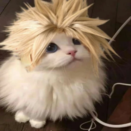 [Final Fantasy VII, 7]Cloud Strife (Cat)