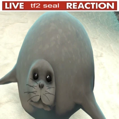 live tf2 seal reaction