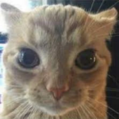 If you donate to me then your cool