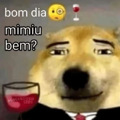 camisa do cachorro sigma uwu