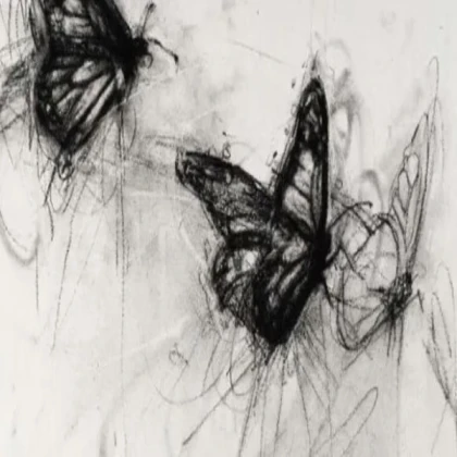 butterfly black and white