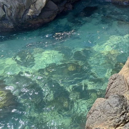 crystal clear cove water pretty tropical aesthetic